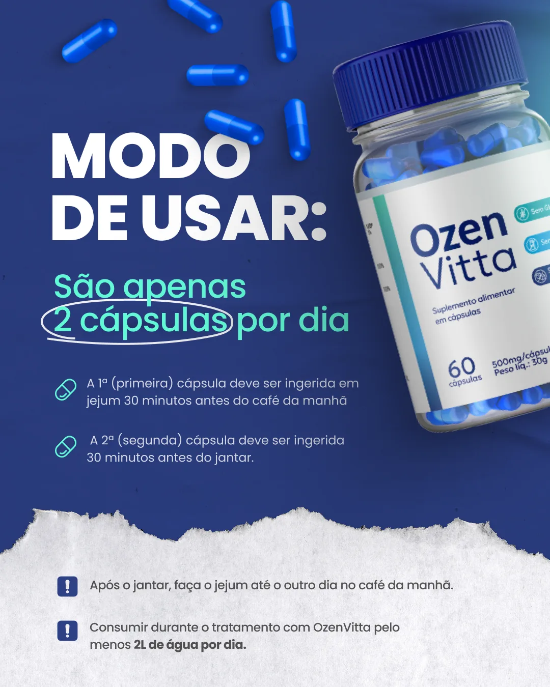 Material da marca com orientações de uso do OzenVitta