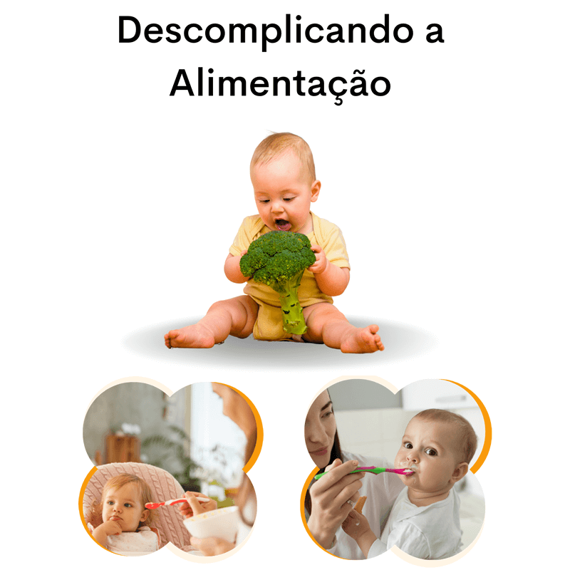 Descomplicando a Alimentação