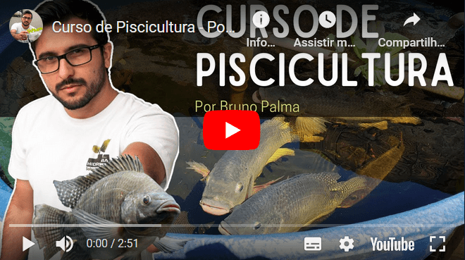Curso de Piscicultura Por Bruno Palma Curso de Piscicultura Por Bruno Palma