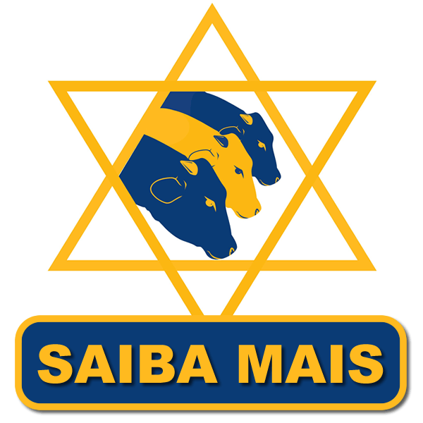 PROGRAMA CONFINAMENTO Marcelo Sousa